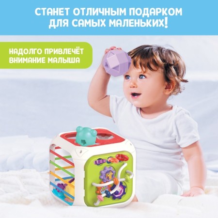 Developing toy "Bizikubik"-4