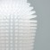 Brush for brushing animal teeth, 5.5 x 2.5 cm, white, container 7 x 4 cm