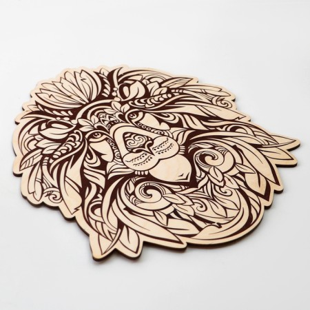 Fundamentals for burning Zenart "Leo"-2