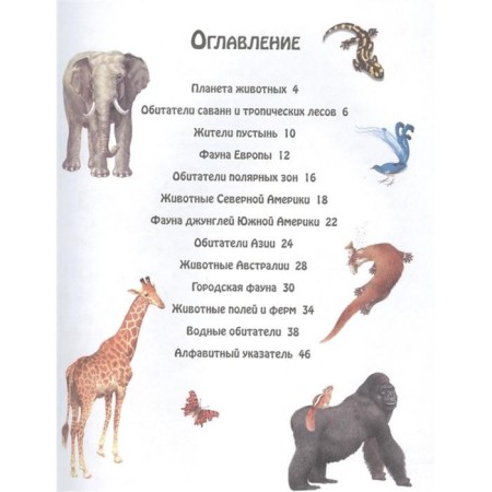 Animals, Nico Dominges, Estel Talaver-1