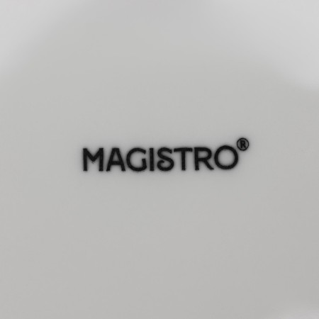 A set of plates of porcelain dessert Magistro Basic Bistro, 6 objects: D = 16.5 cm, white color-5