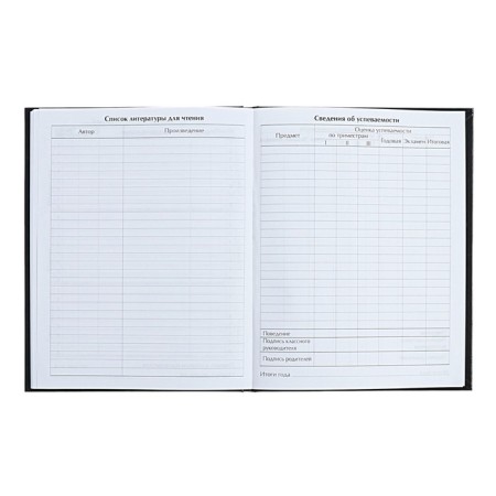 Diary for grades 5-11 "Football. Ball", hard cover, glossy lamination, 48 sheets-7