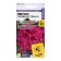 Pentas flowers "graffiti" F1 vailet lanceolate, c/n, 3 pcs.
