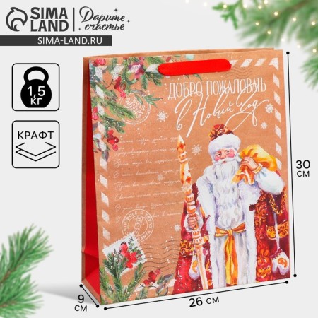 Craft vertical packet "Mail Santa Claus", M 26 x 30 x 9 cm, New Year