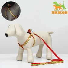 The “Bones and Paws” set of a reflective, leash 120 x 1.5 cm, OG 36-52 cm, red