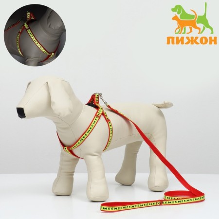The “Bones and Paws” set of a reflective, leash 120 x 1.5 cm, OG 36-52 cm, red