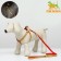 The “Bones and Paws” set of a reflective, leash 120 x 1.5 cm, OG 36-52 cm, red