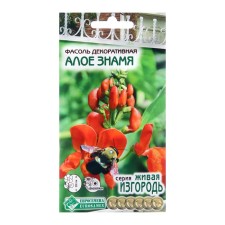 Seeds of beans decorative 
