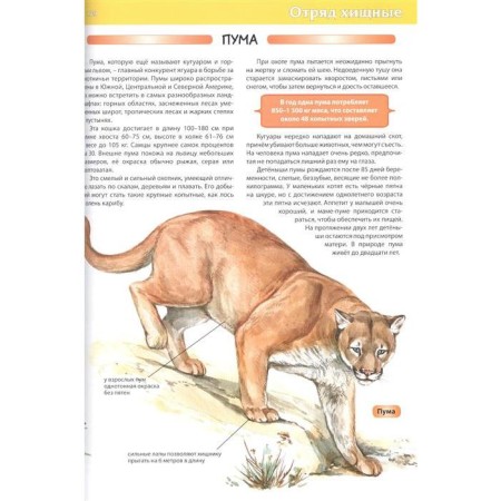 Children's Encyclopedia. Animals. Rublev S.V.-6