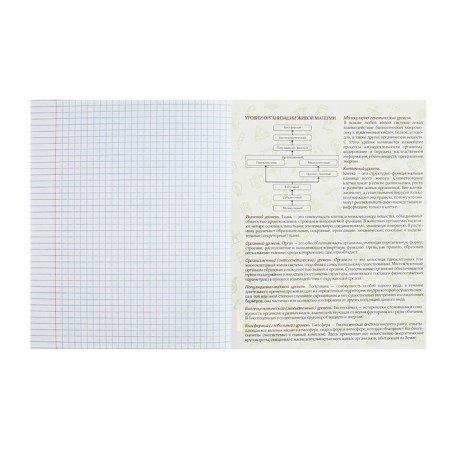 Substantial notebook Calligrata Top "sneakers", 48 sheets in a cell biology, with reference material, cardboard cover, glossy lamination, offset unit-3