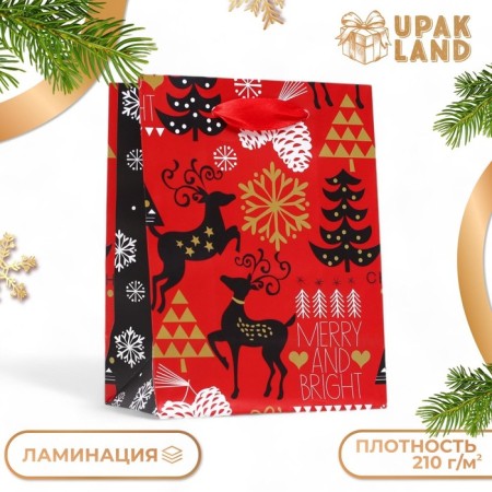 Laminated "New Year's Entry" package 11.5 x 14.5 x 6 cm-2