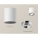 Turning lamp Ambrella Light, XS7421002, MR16 GU5.3 LED 10 W, white sand, silver color