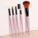 Set of makeup brushes "Soft", 5 objects, color mix