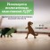 Wooden puzzle Ewa, dinosaur T-Rex, 28 × 17 cm, puzzle