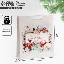 Laminated vertical package “Congratulations to you”, m 30 x 26 x 9 cm, New Year