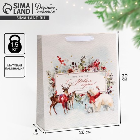 Laminated vertical package “Congratulations to you”, m 30 x 26 x 9 cm, New Year