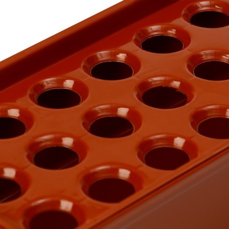 Box for growing green onions, 40 × 19 × 10 cm, 21 holes, red-2