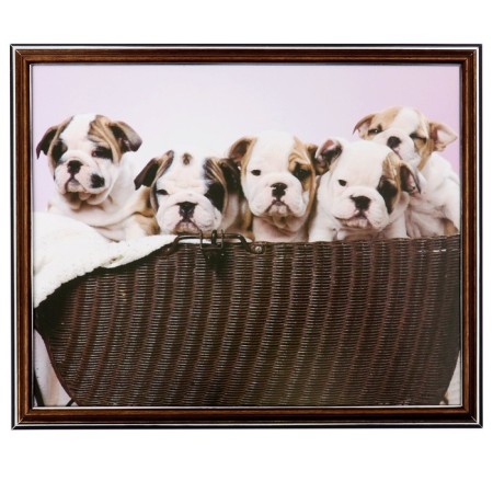 Picture "Puppy" 35x28 (38x31) cm