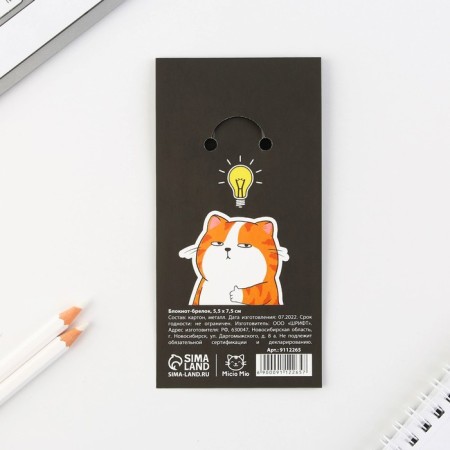 Key keychain notebook “For brilliant ideas”, 5.5 x 7.5 cm-7