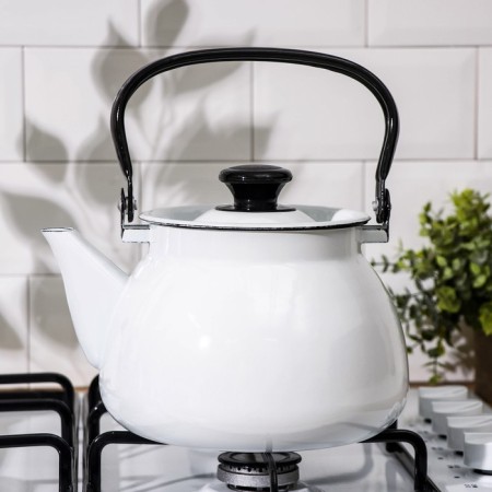 Spherical kettle without a decolle, 3 l, induction, white color-4
