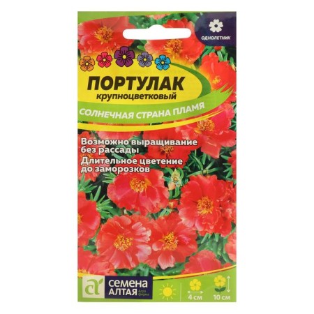 Flower seeds of Purslane "Solar Country", Flame, Sess. Alt, c/p, 0.1 g