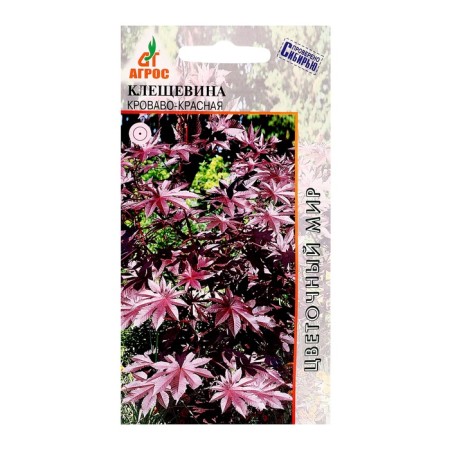 Cleshchevin seeds blood-red 4pcs*