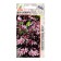 Cleshchevin seeds blood-red 4pcs*
