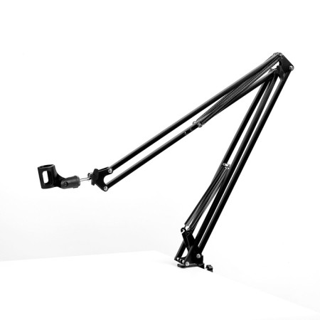 Microphone Pantotograph Music Life, microphone diameter 2.5 cm, length 100 cm-1
