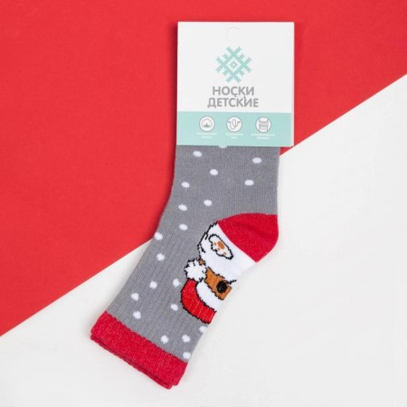 New Year's socks KAFTAN "Corgi" rr 16-18, gray-2
