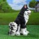 Garden figure "Husky dog" 27x20x37cm