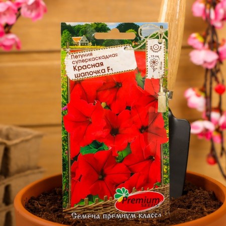 Flowers of Petunia Super Cupid Red hat F1, O 10pcs-2
