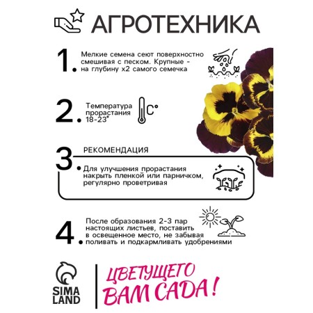 Viola seeds "Baron Machon", F1, 5 pcs.-3