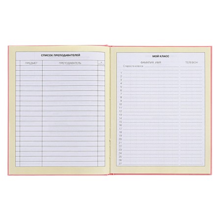 Diary for grades 1-4, solid cover "Girlfriends", matte lamination, selective varnish, block 60 g/m2-6