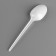 Set of disposable dishes "Spoon", 10 pcs