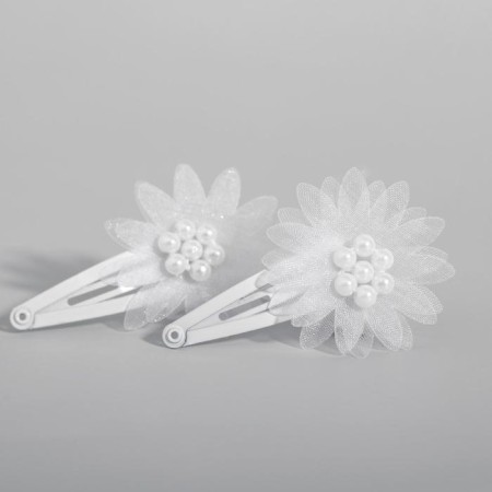Hair hair clip, 2 pieces, Winx-1