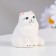Surfe souvenir "Sedenty cat", 6x6 cm