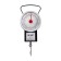 Bezmen Luazon, mechanical, up to 22 kg, division price 250 g, black