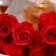 Soap rose, red