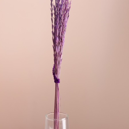 Set of dried flowers "Raigrace", banch 21 pcs, length 60 (+/- 6 cm), lilac-1
