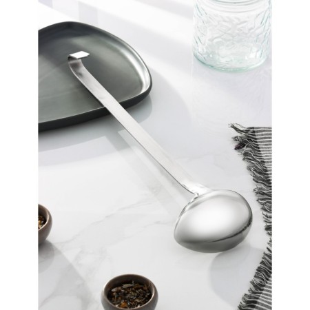 Spoon for stainless steel sauce, Dolyan India, 42 cm-1