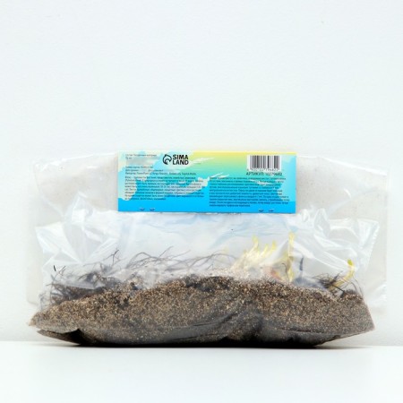 Flox "Bambini Candy Krash" rr I, 2 pcs,-2