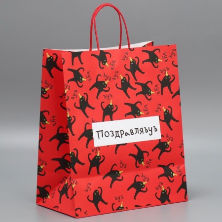Package Gift Crafts, Packaging, "Congratulations", 28 x 32 x 15 cm-2