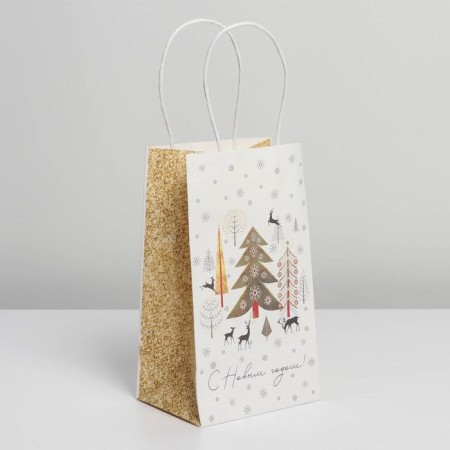 Package gift craft "Fairy Tale", 12 x 21 x 9 cm, New Year-1