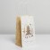 Package gift craft "Fairy Tale", 12 x 21 x 9 cm, New Year