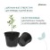 Pot for seedlings, 15 l, d = 31 cm, h = 26 cm, black, Greengo