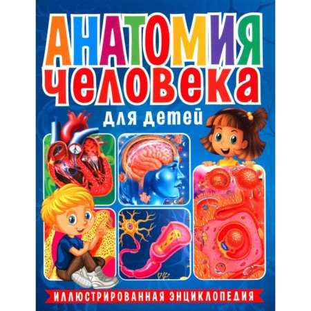 Human anatomy for children