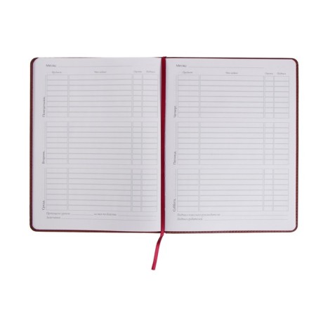 Universal diary for grades 1-11, 48 Velvet sheets, hard cover, artificial leather, thermoting, liesse, block 70 g/m2, brown-4