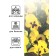 Viola seeds "Matrix", f1, yellow