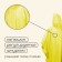 Poveri raincoat, adult, yellow color