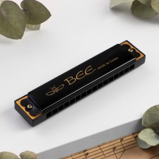 BEE DF16A Black's Gungery, 16 holes